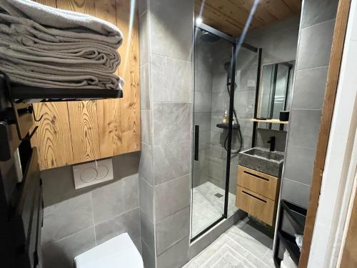 ein Bad mit einer Dusche, einem WC und einem Waschbecken in der Unterkunft Nid de charme au pied des pistes in Saint-Martin-de-Belleville