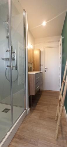 uma casa de banho com um chuveiro e uma porta de vidro em Appartement cosy route des plages em Lorient