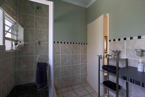 bagno con doccia e lavandino di Wind Swallow a Città del Capo