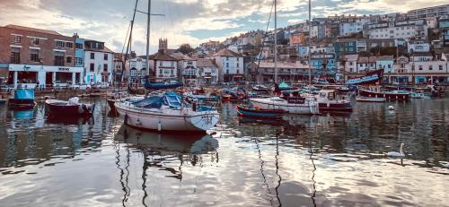 a group of boats are docked in a harbor at Driftwood B&B in Brixham
