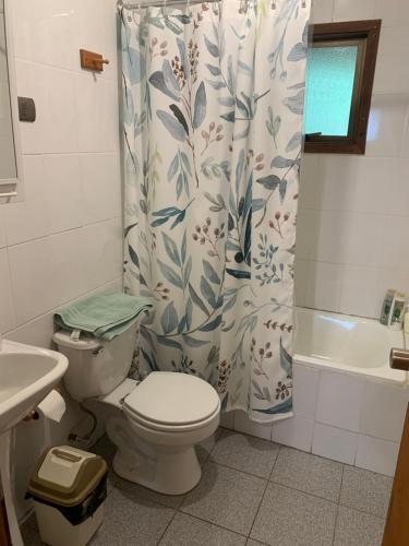 een badkamer met een toilet en een douchegordijn bij Casa Orilla Lago Cólico in Cunco
