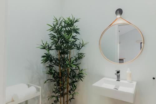 un baño con una planta junto a un espejo en Primeiro Quartel Apartments - 4, en Peso da Régua