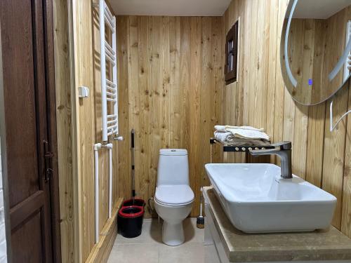 uma casa de banho com um lavatório branco e um WC. em Cozy Wooden House in Kiket'i კიკეთი em Kiketʼi