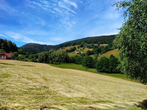 a grassy field with trees and mountains in the background at Charmant meublé classé 3 étoiles dans ferme du XIXe restaurée in Le Hohwald