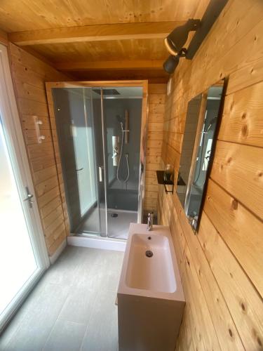 La salle de bains est pourvue d'un lavabo et d'une douche. dans l'établissement Studio chez l'habitant avec piscine commune, à Grièges