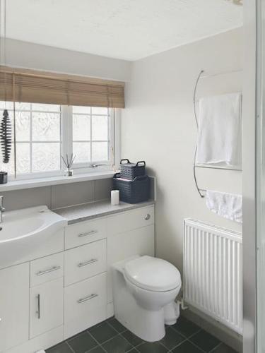 a white bathroom with a toilet and a sink at Private guest house - Double bedroom, en-suite and workspace with private entrance in Leicester