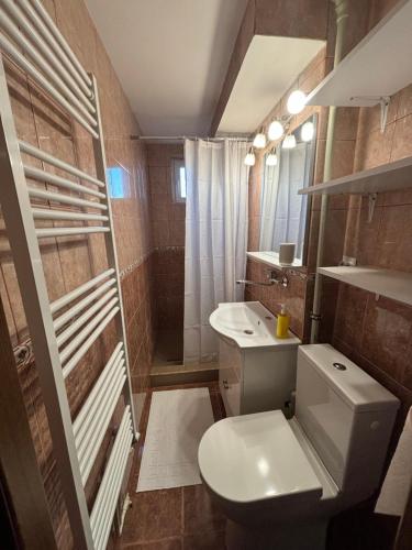 a small bathroom with a toilet and a sink at Best choice flat in Târgu-Mureş