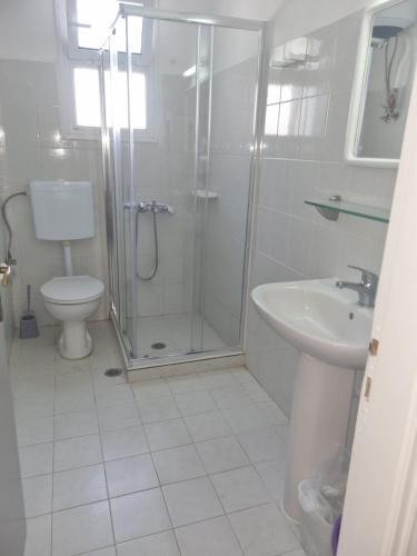 a bathroom with a shower and a toilet and a sink at Sun Ray Sivota 8 in Syvota