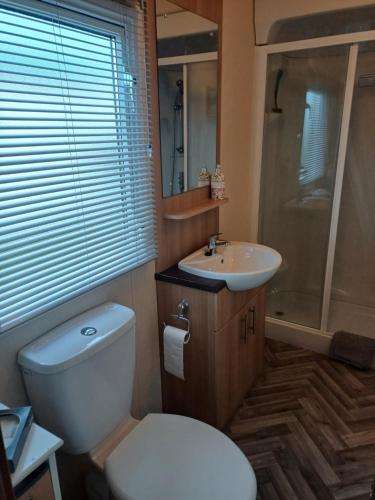 een badkamer met een wit toilet en een wastafel bij The Highlander in Tain