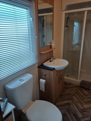 a bathroom with a white toilet and a sink at The Highlander in Tain