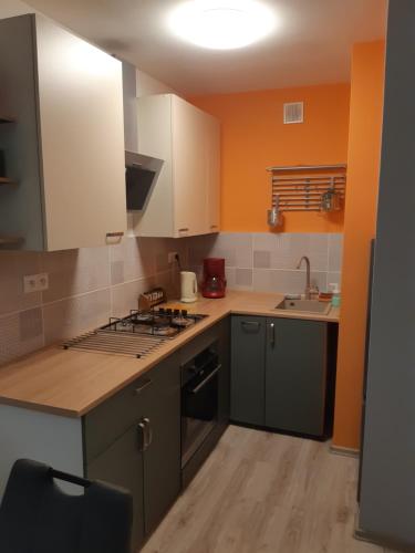 a kitchen with green cabinets and a stove top oven at Apartament Katowice Spodek in Katowice