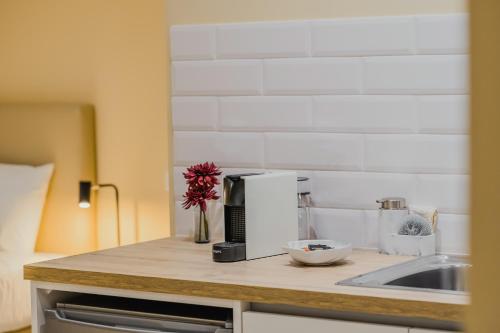 um balcão de cozinha com comodidades para preparar café e um lavatório em Primeiro Quartel Apartments - 5 em Peso da Régua