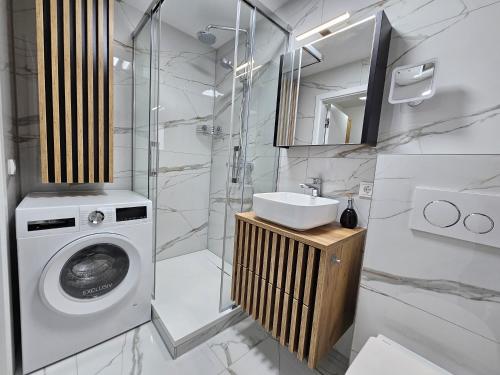 een badkamer met een wasmachine en een wastafel bij Apartment „Amalia“ in Ergersheim