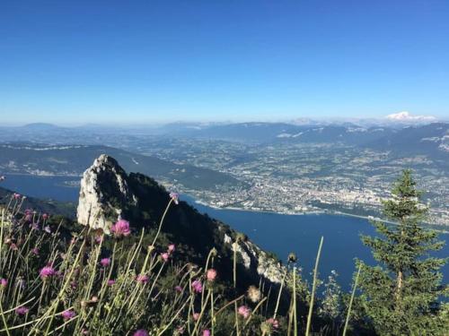 Photo de la galerie de l'établissement Superbe appartement à 15min du Revard, à Pugny-Chatenod