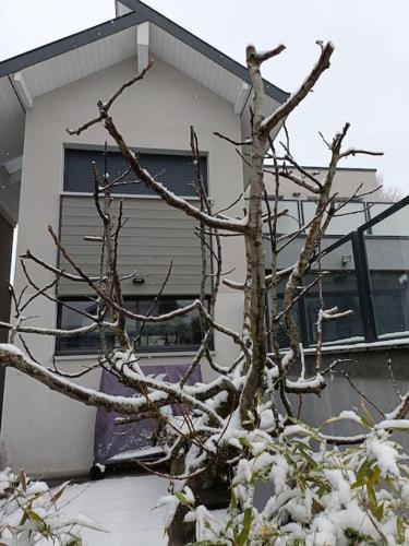 Photo de la galerie de l'établissement Superbe appartement à 15min du Revard, à Pugny-Chatenod