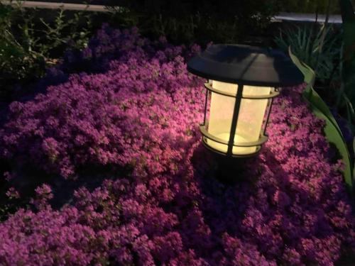 Un jardín fuera de Cozy Stay near Stockholm with Pool and BBQ access
