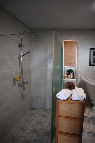 uma casa de banho com um chuveiro e um lavatório. em 180 Degrees Self-Catering em Victoria
