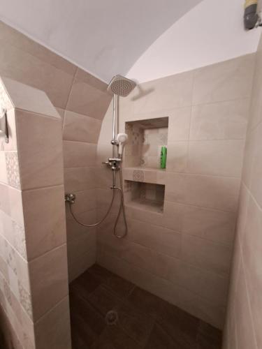 a shower with a shower head in a bathroom at Old Village apartments in Kýthira