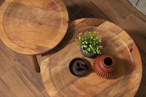 a wooden table with a potted plant on top of it at Raviewha Luxury Apartments in Ravdhoúkha