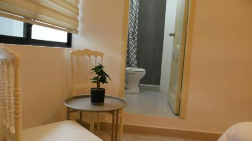 a bathroom with a toilet and a table with a plant at Park View Hostel & Suites in Manta