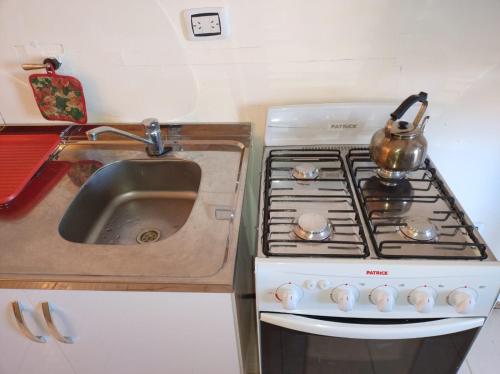 a kitchen with a stove and a sink with a tea kettle at Cabañas deja vu in El Calafate