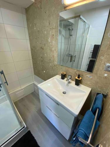 une salle de bain avec un lavabo blanc et un miroir dans l'établissement Le Jean Jaurès Studio cosy Parking, à Toulouse