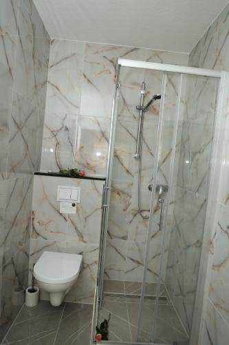 a bathroom with a toilet and a glass shower at Hotel Royal in Bad Salzuflen