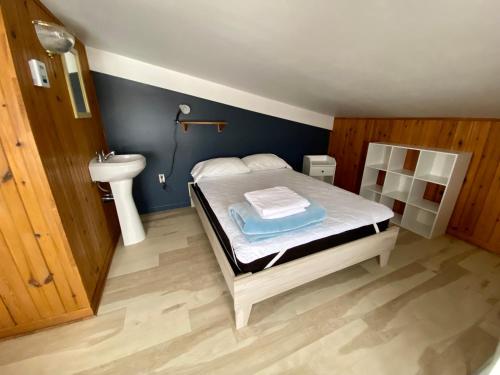 Cap-aux-MeulesにあるAuberge de Gros-Capの小さなベッドルーム(ベッド1台、シンク付)