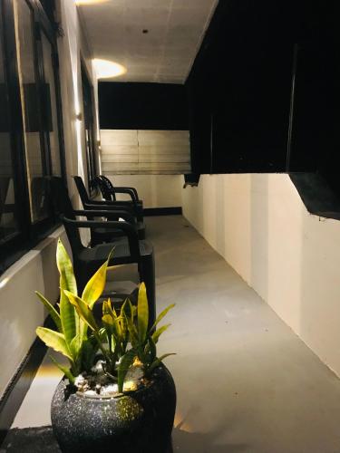 a room with chairs and a plant in a pot at Cloud Nine in Kandy