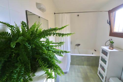 a bathroom with a plant and a tub and a sink at Amazing villa for big groups in the best place of Costa Brava in Palamós