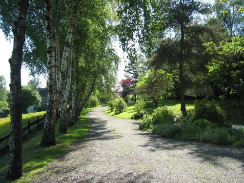 Naturlandschaft in der Nähe des Bed & Breakfasts