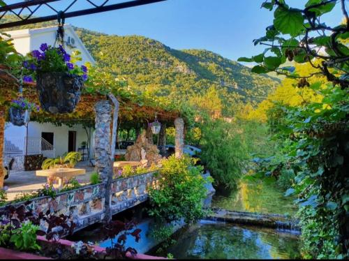 Gallery image of Apartments Radonjic in Budva