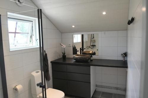 a bathroom with a sink and a toilet and a mirror at Apartment Berghem Grönadal Nättraby in Nättrabyhamn