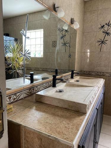 a bathroom with a sink and a mirror at lé z'orangines in Saint-Benoît