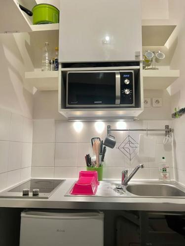 une cuisine avec un évier et un micro-ondes dans l'établissement Studio Louis Pradel, à Lyon