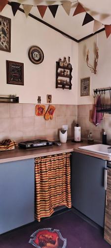 a kitchen with a counter top and a sink at La Tana Rifugio per Maghi e Streghe in Cantalupo in Sabina