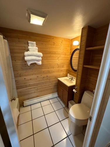 a bathroom with a toilet and a sink at Sportsman Motel in Malta