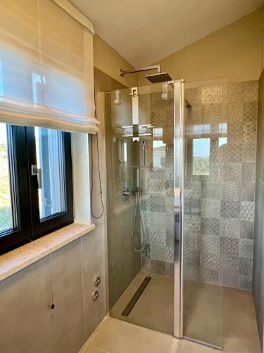 a shower with a glass door in a bathroom at Villa Maslinik in Kaštelir
