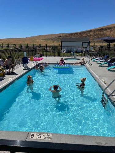 a group of people in a swimming pool at The Barn B&B Walla Walla in Walla Walla