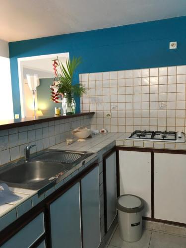 Kuchyň nebo kuchyňský kout v ubytování Appartement style Caribeen