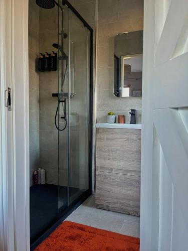 a shower with a glass door in a bathroom at The Starlings Country House in Wexford