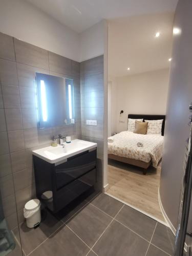 une salle de bain avec un lavabo et un lit dans l'établissement Le petit Brooklyn, à Strasbourg