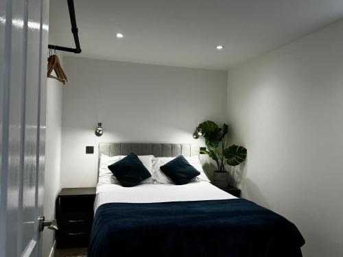 a bedroom with a bed with blue sheets and a plant at Prospect View in Portstewart