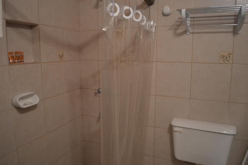 uma casa de banho com um chuveiro, um WC e uma cortina de chuveiro. em Hotel Rustico Cerro Del Valle em San Agustín de Valle Fértil