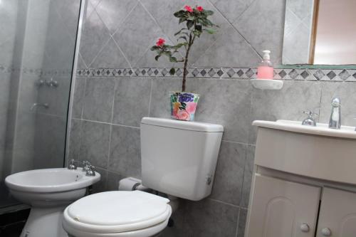 a bathroom with a toilet and a sink at Hospedaje BAHUINIAS II in Federación