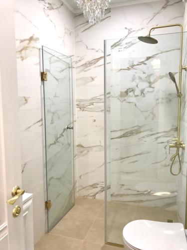a bathroom with a glass shower stall and a toilet at Brand new 1-bedroom apartment in city centre in Gori
