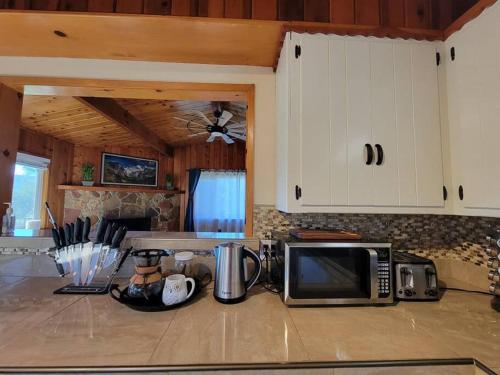a kitchen with a counter top with a microwave at Rustic Yosemite Cottage-King Suite-Mountain Views in Oakhurst