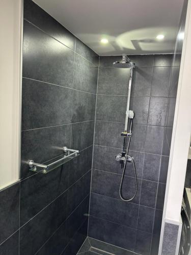 a bathroom with a shower with black tile at Apartment Deluxe Rosenheim Top 2 