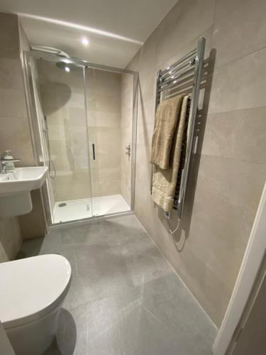 a bathroom with a shower and a toilet and a sink at Beautiful Penthouse In Bristol - new in Bristol