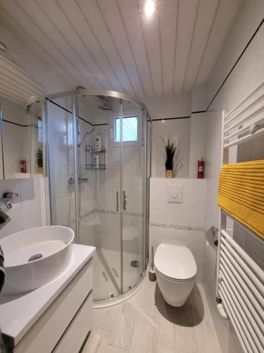 a bathroom with a shower and a toilet and a sink at Chalet Nature Park "Apartment Thun" in Thun